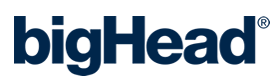 bigHead logo